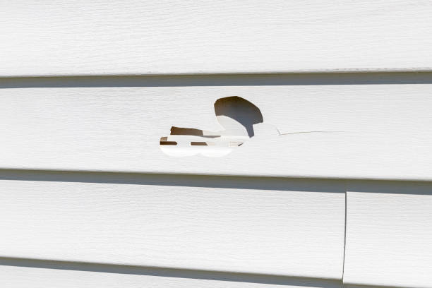 Best Construction Debris Removal  in Montour Falls, NY